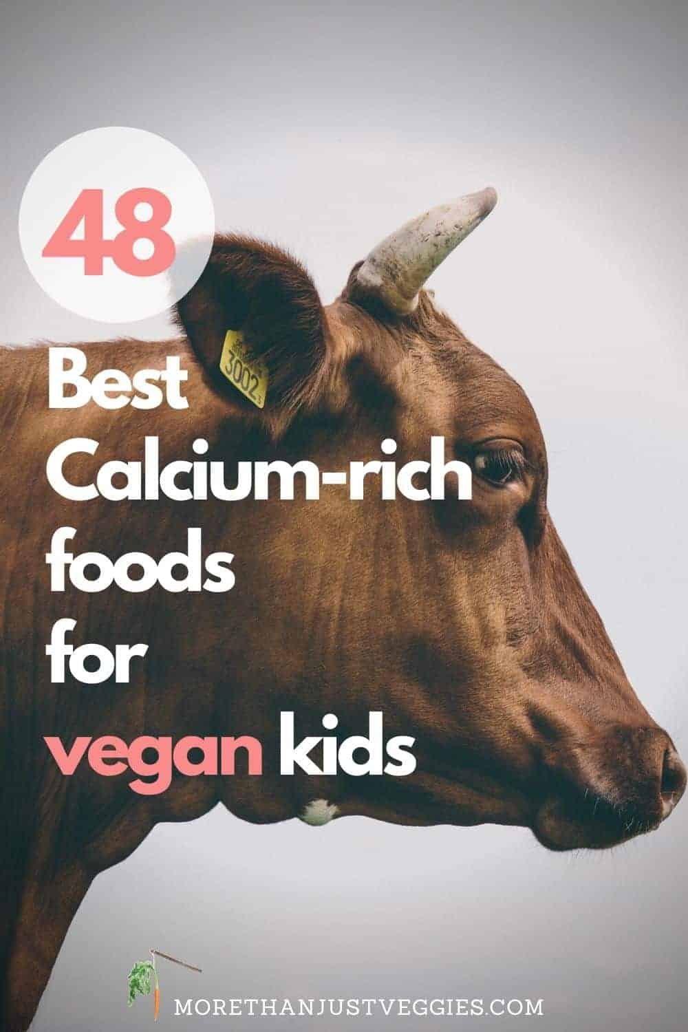 Vegan Sources of Calcium and How to Get Enough Without Dairy - Veggies