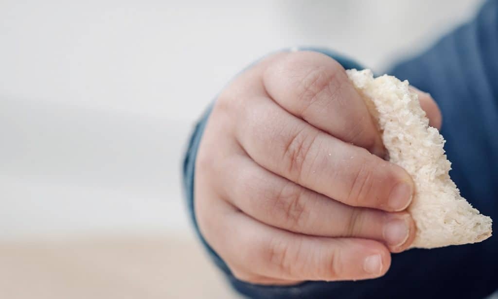 Toddler eating crustless bread