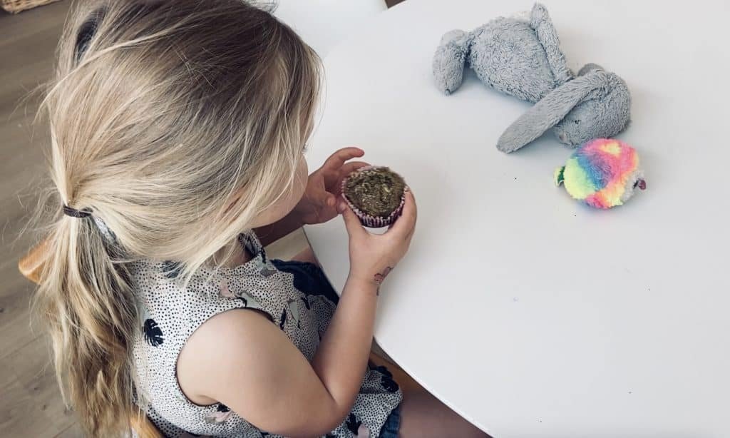 Vegan child eating kale muffin